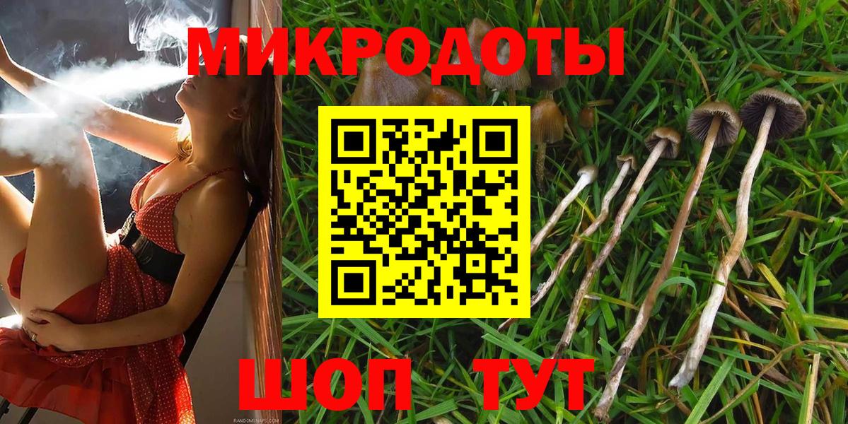 Псилоцибиновые грибы Magic Shrooms  Вход с VPN  Богородицк 