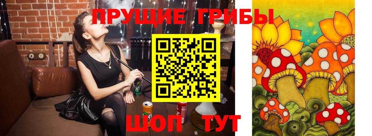 Псилоцибиновые грибы ЛСД Богородицк